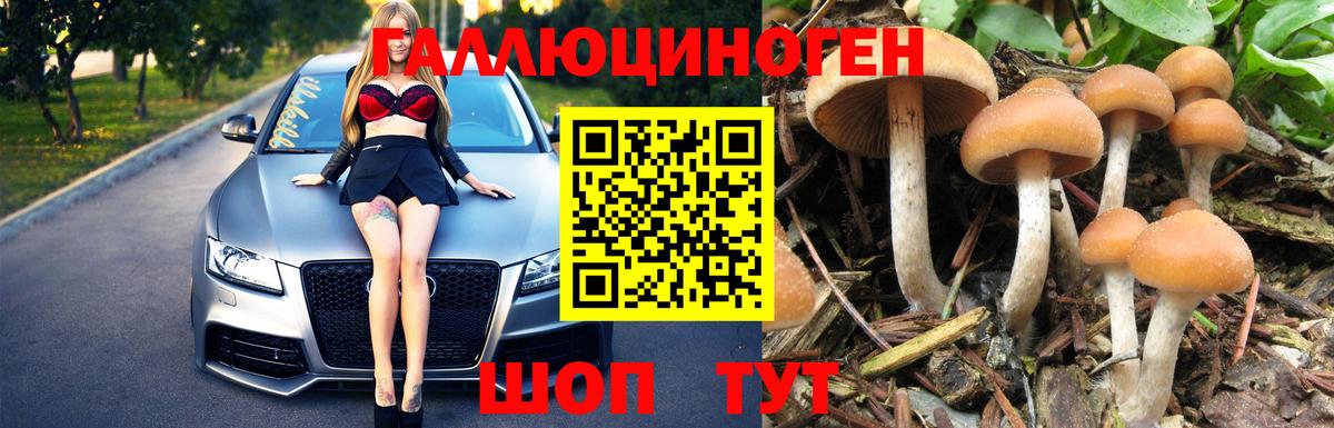 Галлюциногенные грибы Psilocybe Урюпинск
